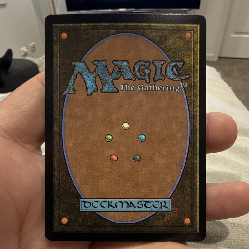 Magic: The Gathering Forest Basic Land Foil Marvel MSH 02861