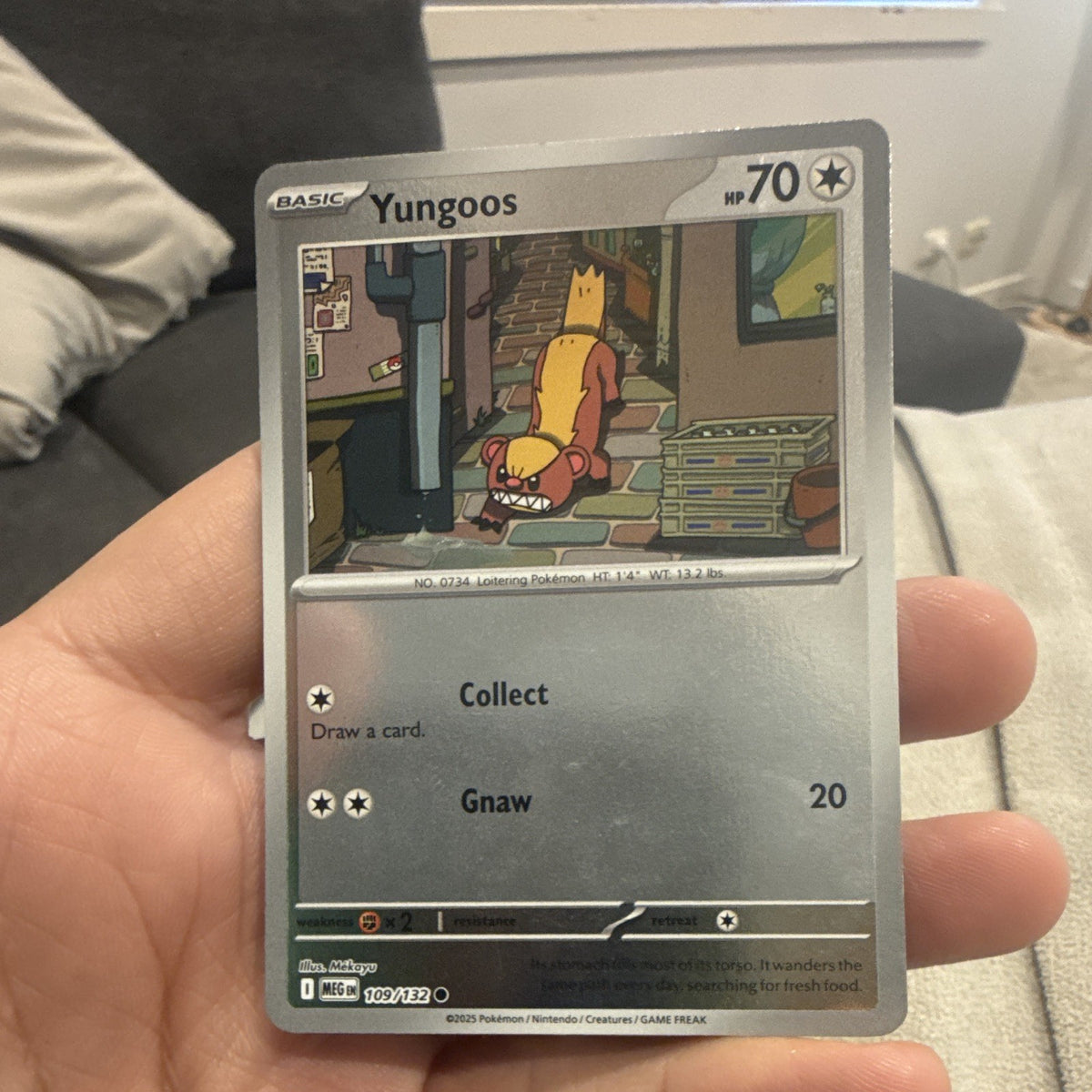 Nintendo Pokémon TCG Yungoos Mega 109/132 Common Basic HP 70 Regular EN 20250