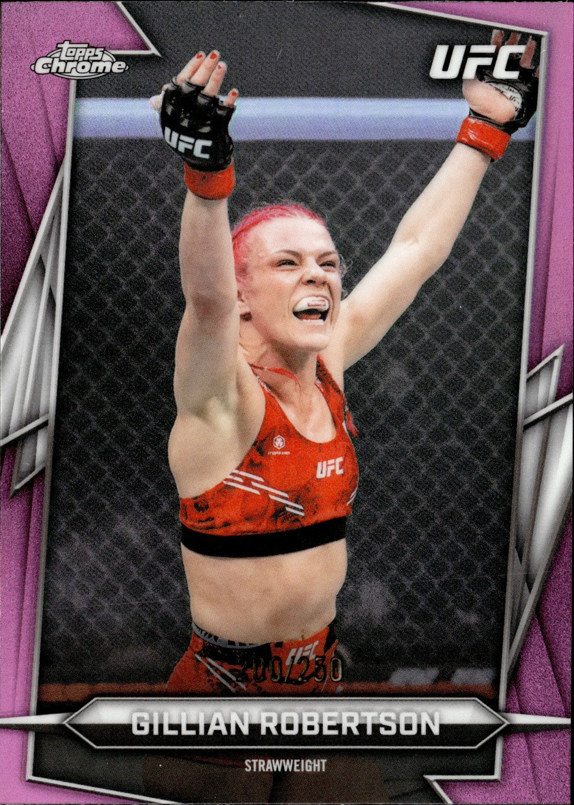 Gillian Robertson Numbered 200/250 Near Mint 1360