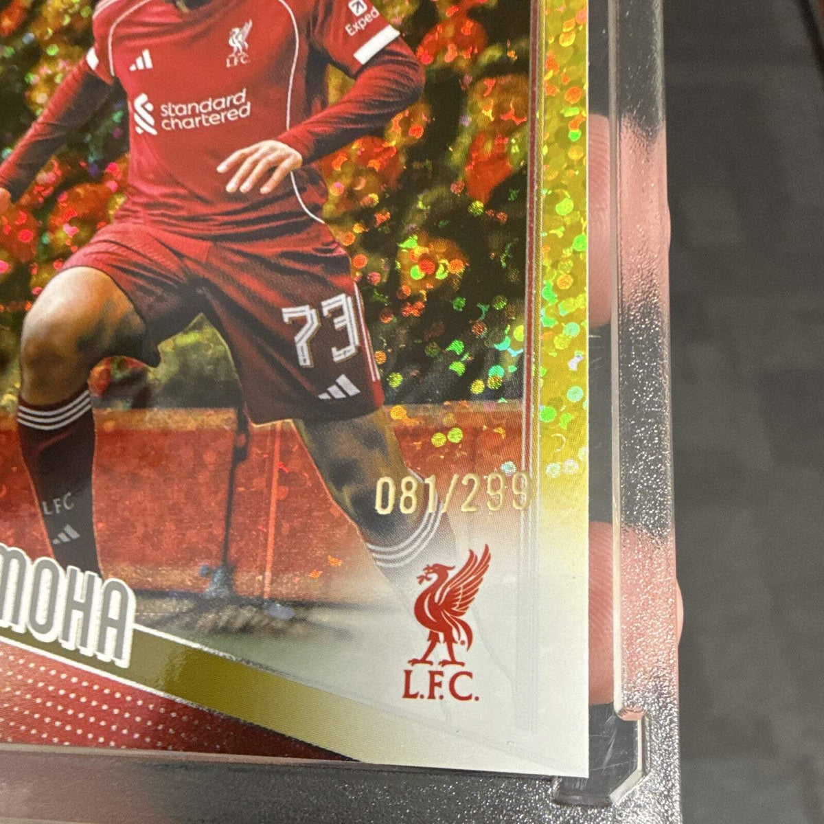 Topps Rio Ngumoha Rookie Liverpool FC UEFA Champions League #191 RC 081/2991