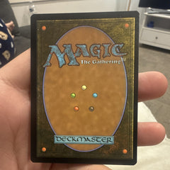 Scout the City 013 Foil Common White Sorcery Marvel Spider Man MTG 20251