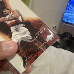 Upper Deck Hardcourt 2002 03 Rasheed Wallace Base Set 68 Trail Blazers2