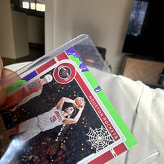 Panini 2024 25 Haunted Hoops Insert Alperen Sengun Houston Rockets #1462