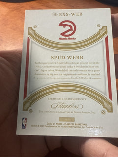 Spud Webb Flawless 10/256