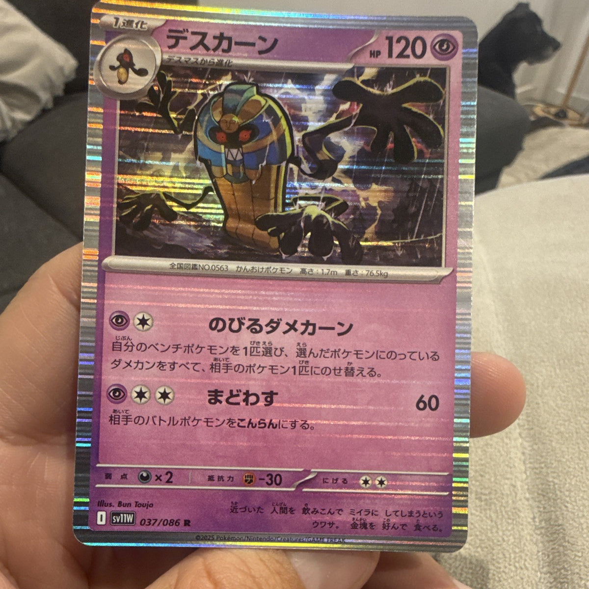 Pokemon TCG Japanese Cofagrigus sv1W 037/086 Holo Rare Psychic 120HP0