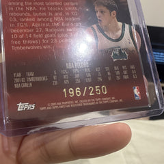 Topps Radoslav Nesterovic Int'l Center of Attention Finest Refractor 196/2503