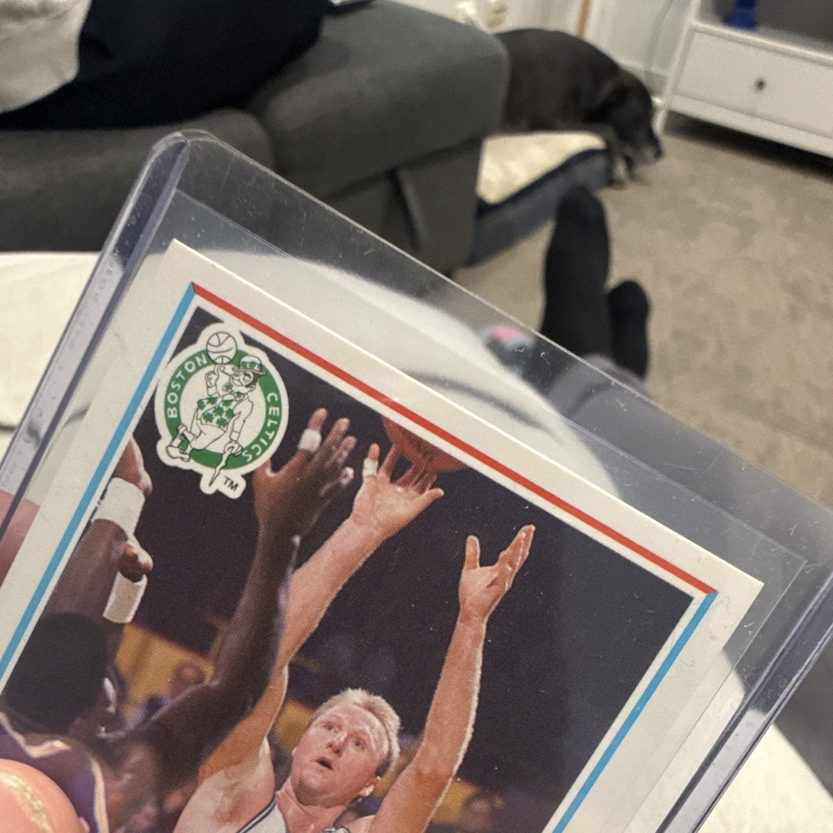 Fleer Larry Bird Base 1990 Fleer #8 Boston Celtics NBA Basketball Card2