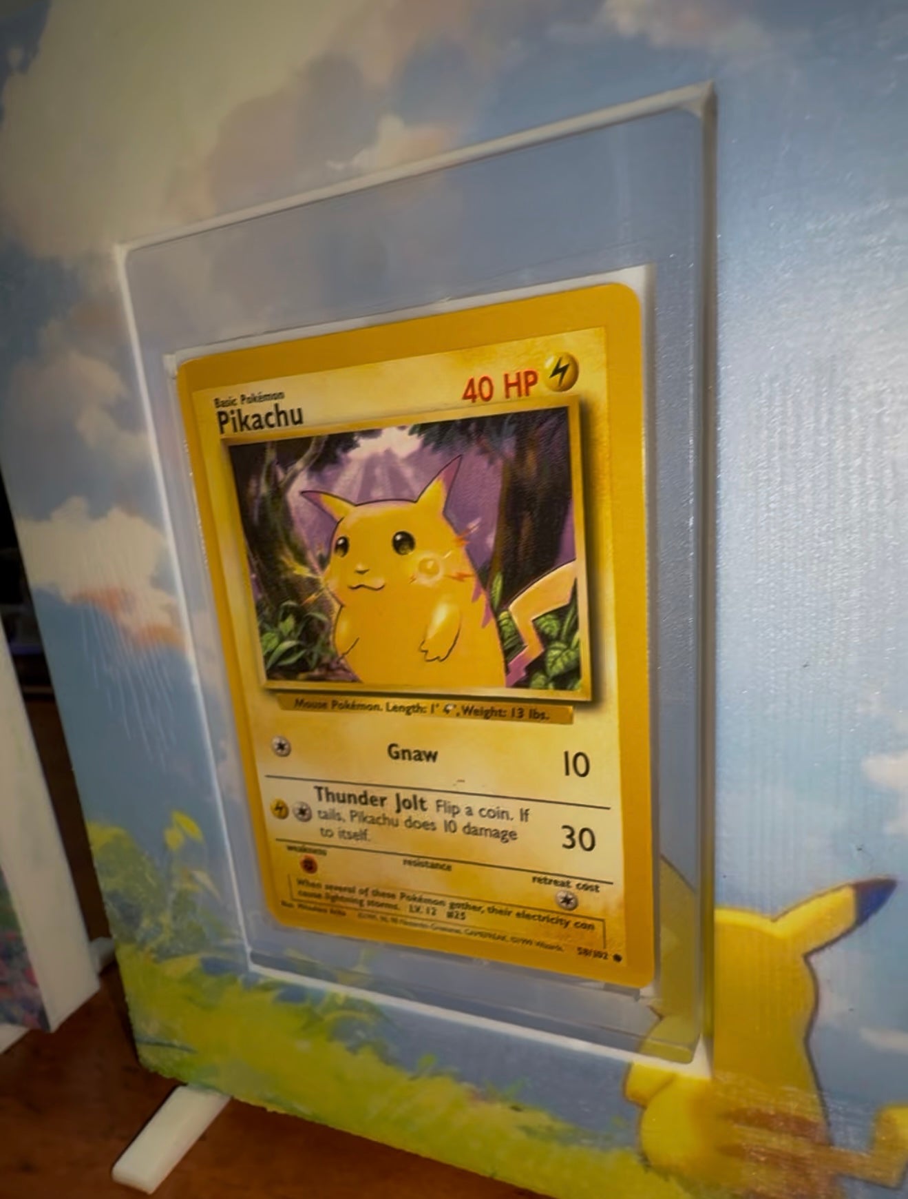Pokemon Cardmate Holder
