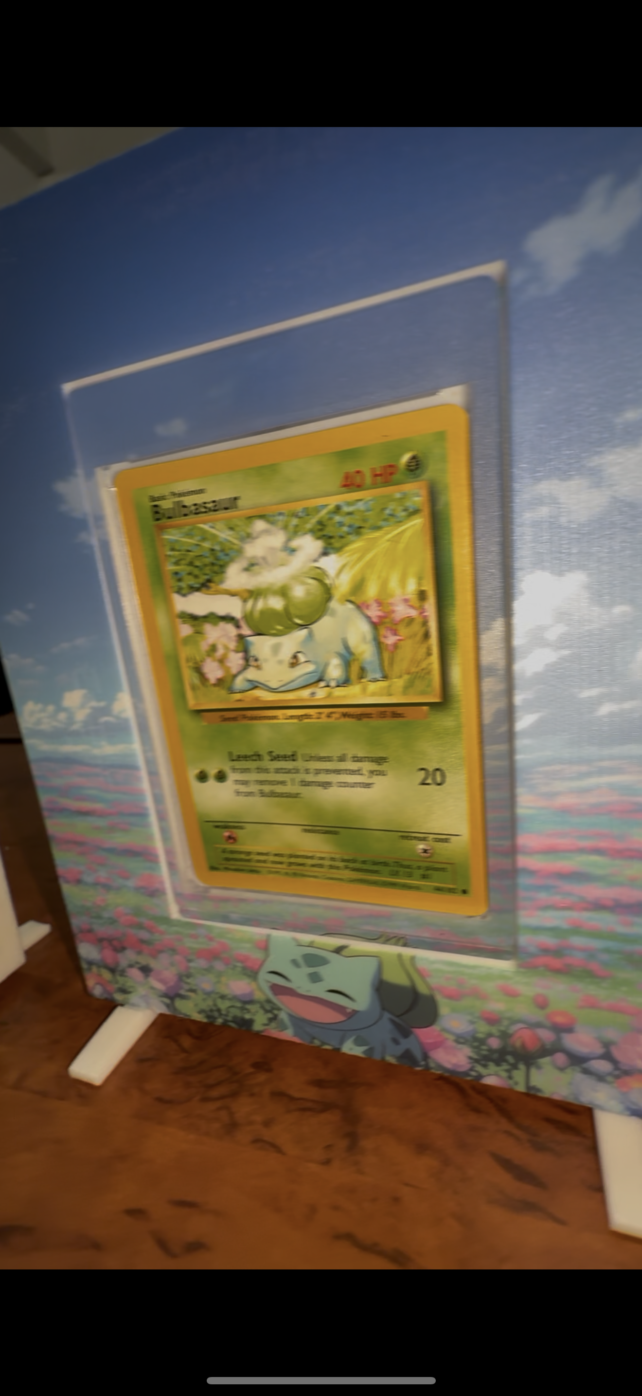 Pokemon Cardmate Holder