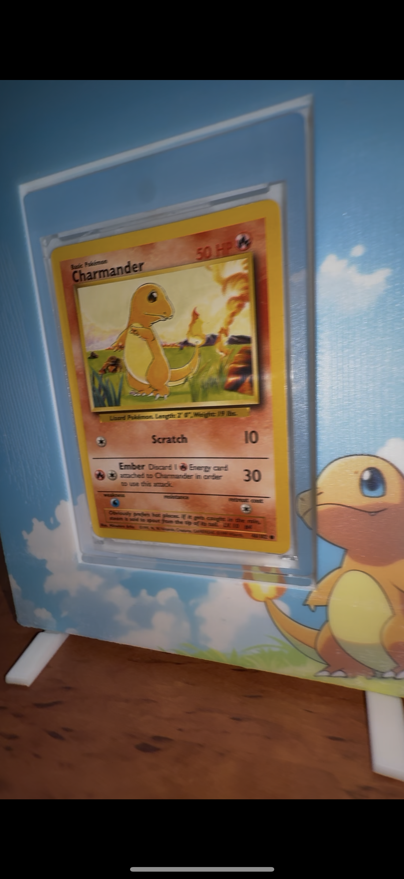 Pokemon Cardmate Holder
